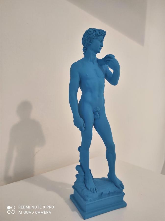 Dependace Il David Di Michelangelo Apartamento Florença